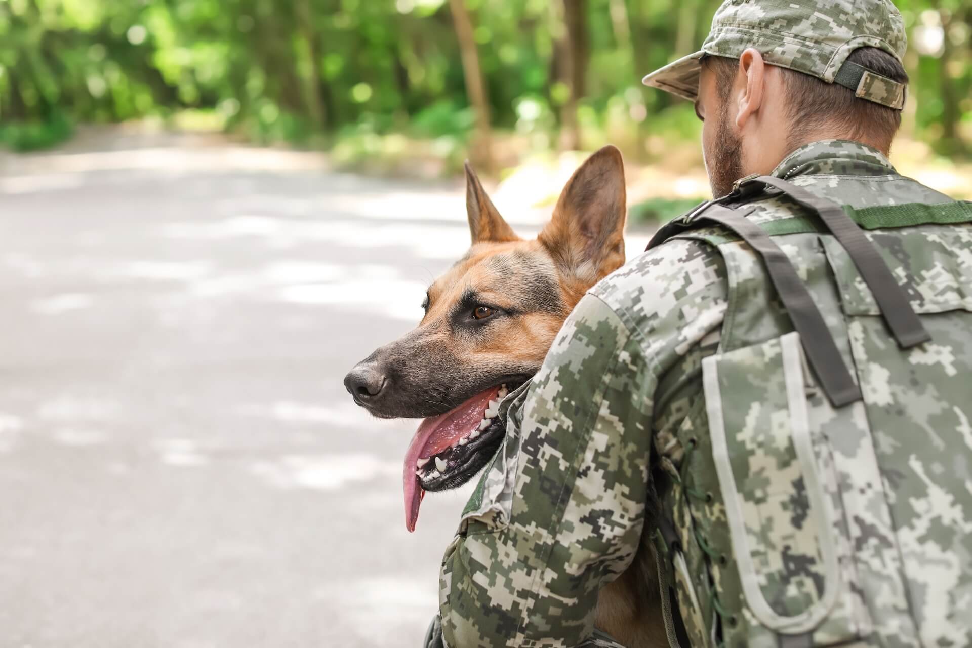 Military personnel with an army dog