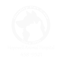 Hopewell Animal Hospital